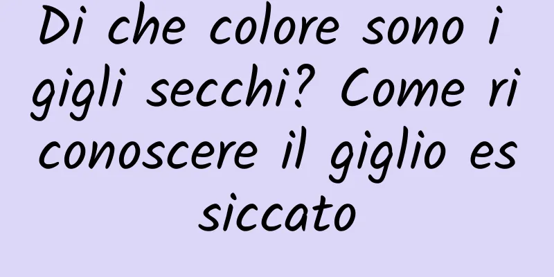 Di che colore sono i gigli secchi? Come riconoscere il giglio essiccato