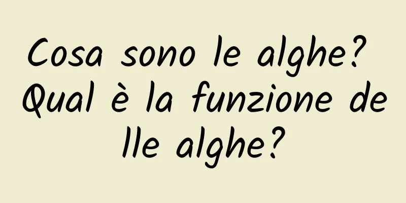 Cosa sono le alghe? Qual è la funzione delle alghe?