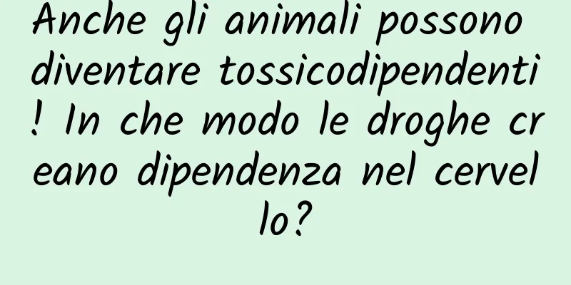 Anche gli animali possono diventare tossicodipendenti! In che modo le droghe creano dipendenza nel cervello?