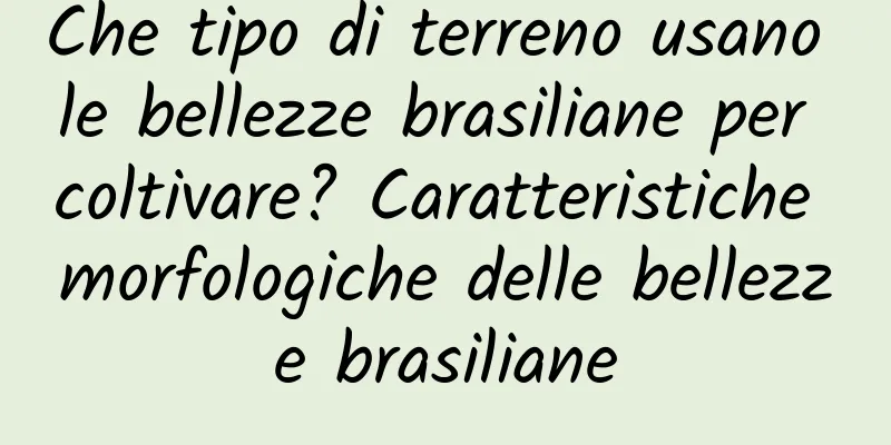 Che tipo di terreno usano le bellezze brasiliane per coltivare? Caratteristiche morfologiche delle bellezze brasiliane
