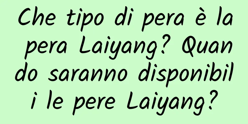 Che tipo di pera è la pera Laiyang? Quando saranno disponibili le pere Laiyang?