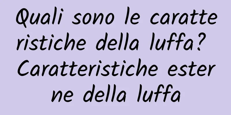 Quali sono le caratteristiche della luffa? Caratteristiche esterne della luffa