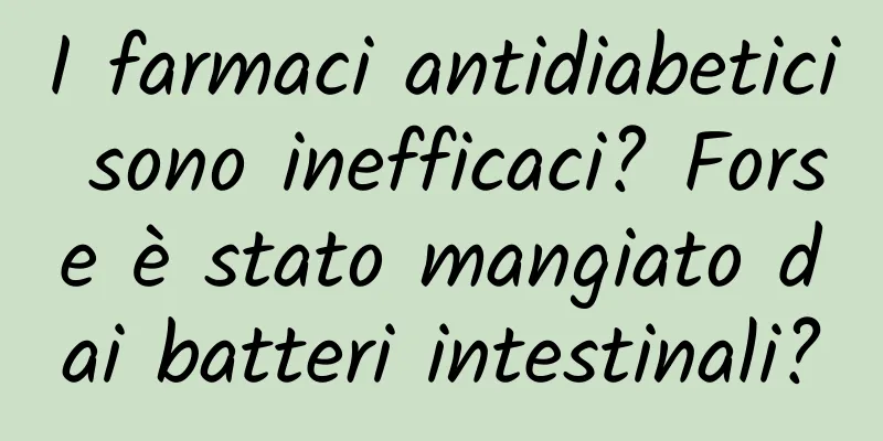 I farmaci antidiabetici sono inefficaci? Forse è stato mangiato dai batteri intestinali?