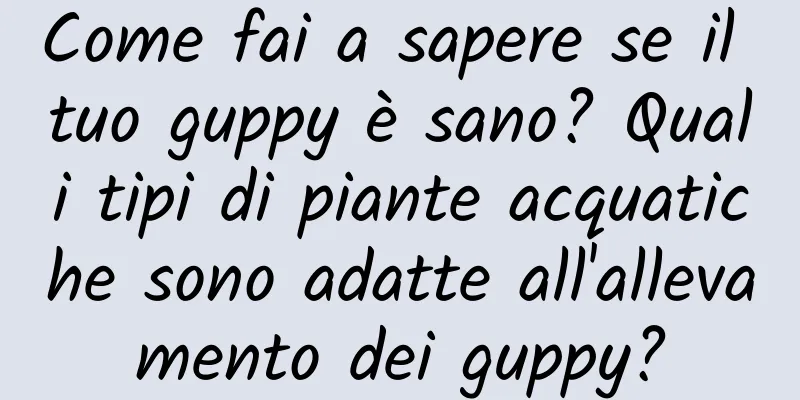 Come fai a sapere se il tuo guppy è sano? Quali tipi di piante acquatiche sono adatte all'allevamento dei guppy?