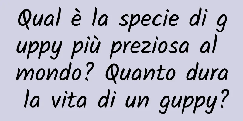 Qual è la specie di guppy più preziosa al mondo? Quanto dura la vita di un guppy?