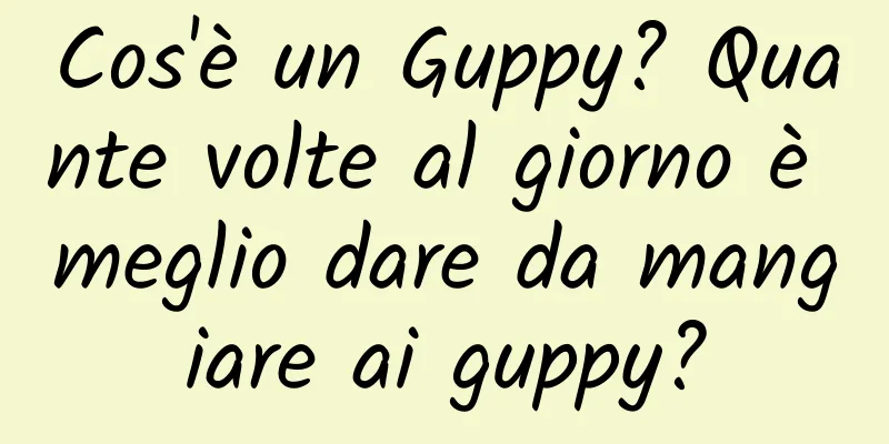 Cos'è un Guppy? Quante volte al giorno è meglio dare da mangiare ai guppy?