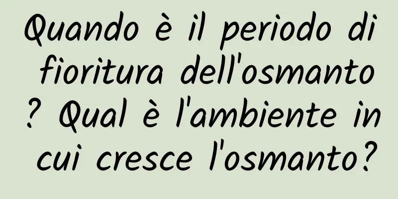 Quando è il periodo di fioritura dell'osmanto? Qual è l'ambiente in cui cresce l'osmanto?