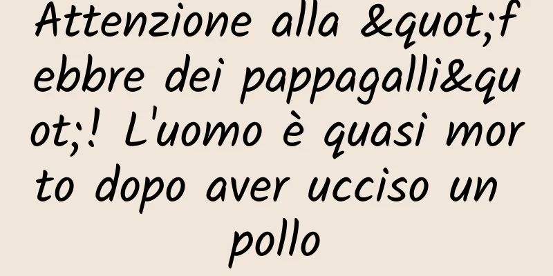 Attenzione alla "febbre dei pappagalli"! L'uomo è quasi morto dopo aver ucciso un pollo