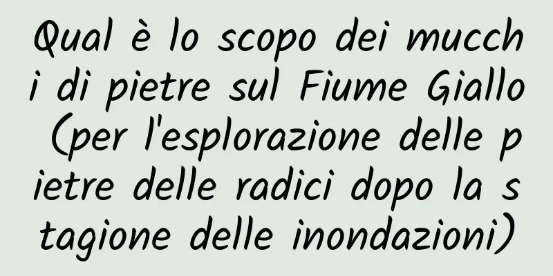 Qual è lo scopo dei mucchi di pietre sul Fiume Giallo (per l'esplorazione delle pietre delle radici dopo la stagione delle inondazioni)