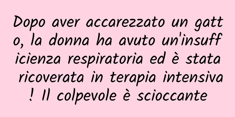 Dopo aver accarezzato un gatto, la donna ha avuto un'insufficienza respiratoria ed è stata ricoverata in terapia intensiva! Il colpevole è scioccante