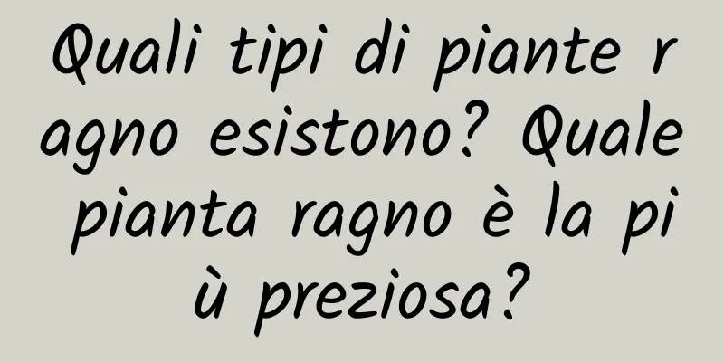 Quali tipi di piante ragno esistono? Quale pianta ragno è la più preziosa?