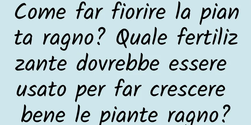 Come far fiorire la pianta ragno? Quale fertilizzante dovrebbe essere usato per far crescere bene le piante ragno?