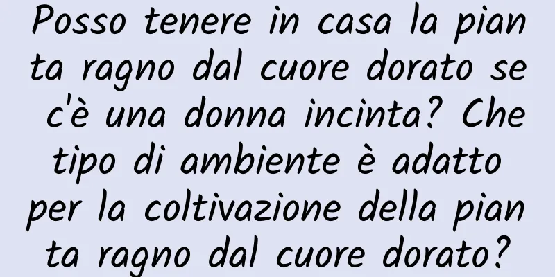 Posso tenere in casa la pianta ragno dal cuore dorato se c'è una donna incinta? Che tipo di ambiente è adatto per la coltivazione della pianta ragno dal cuore dorato?