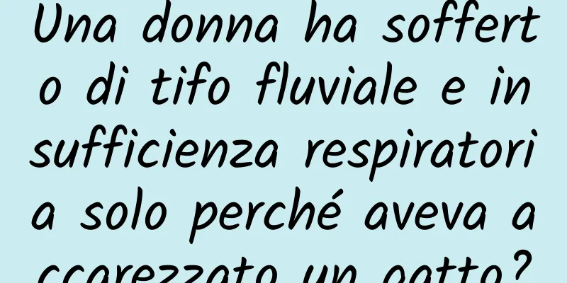 Una donna ha sofferto di tifo fluviale e insufficienza respiratoria solo perché aveva accarezzato un gatto?