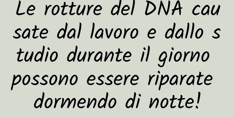 Le rotture del DNA causate dal lavoro e dallo studio durante il giorno possono essere riparate dormendo di notte!