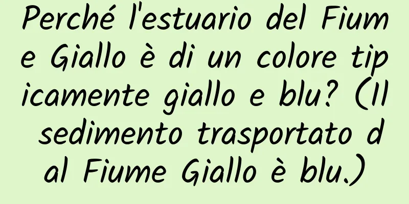 Perché l'estuario del Fiume Giallo è di un colore tipicamente giallo e blu? (Il sedimento trasportato dal Fiume Giallo è blu.)