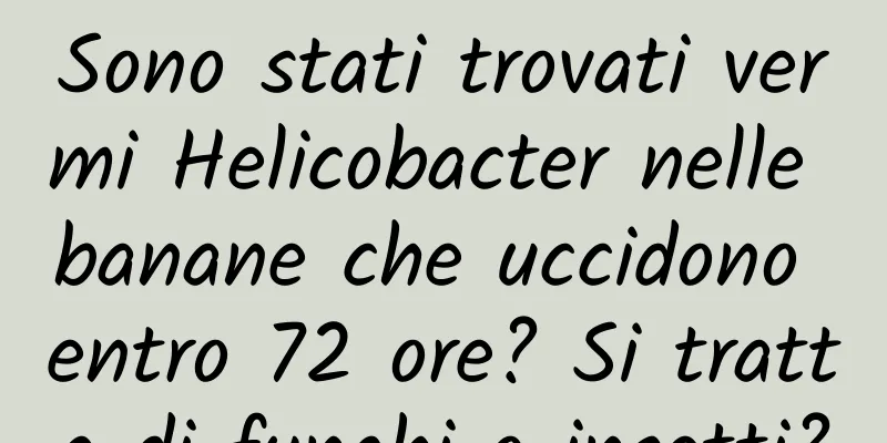 Sono stati trovati vermi Helicobacter nelle banane che uccidono entro 72 ore? Si tratta di funghi o insetti?