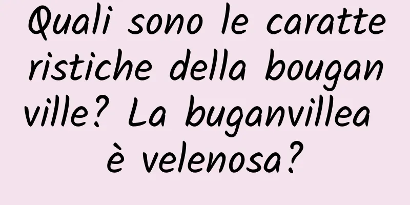 Quali sono le caratteristiche della bouganville? La buganvillea è velenosa?