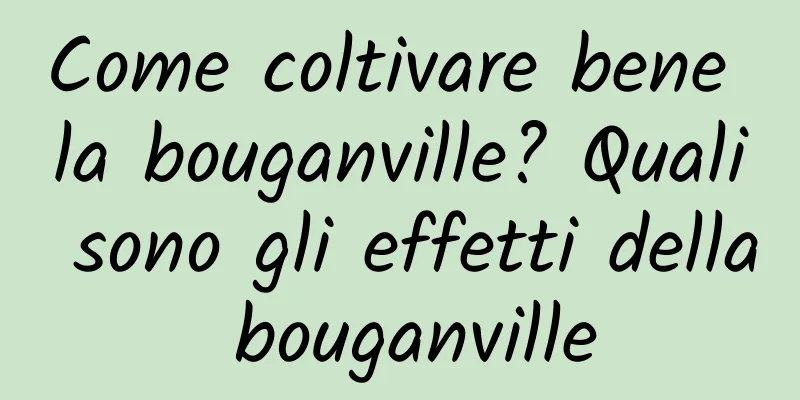Come coltivare bene la bouganville? Quali sono gli effetti della bouganville