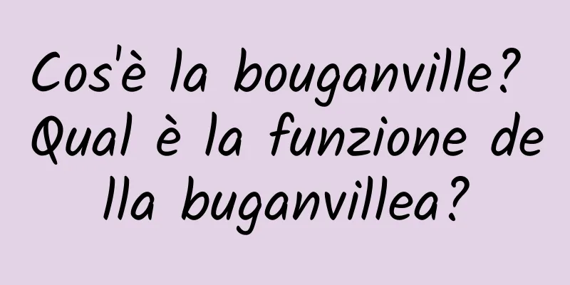 Cos'è la bouganville? Qual è la funzione della buganvillea?