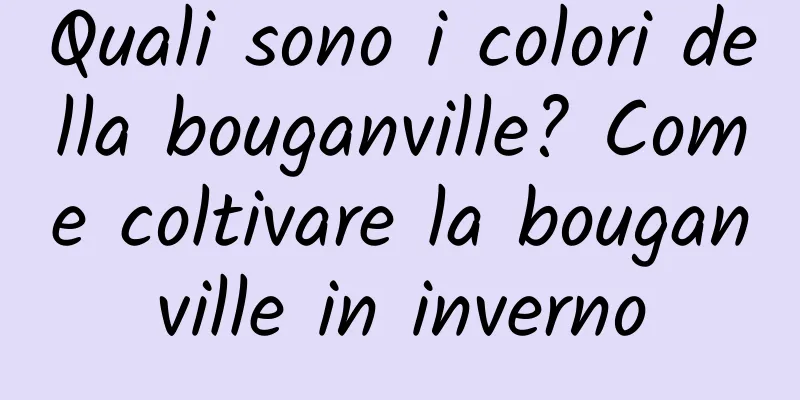 Quali sono i colori della bouganville? Come coltivare la bouganville in inverno