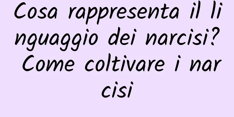 Cosa rappresenta il linguaggio dei narcisi? Come coltivare i narcisi