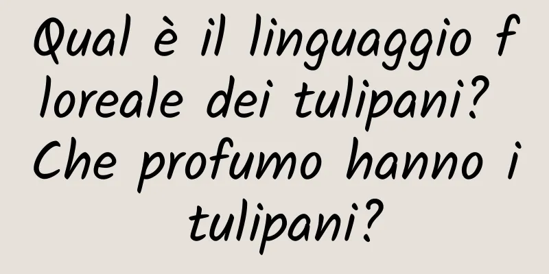 Qual è il linguaggio floreale dei tulipani? Che profumo hanno i tulipani?