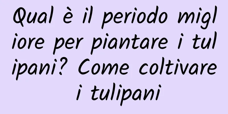 Qual è il periodo migliore per piantare i tulipani? Come coltivare i tulipani