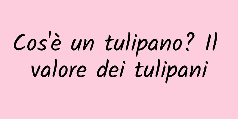 Cos'è un tulipano? Il valore dei tulipani