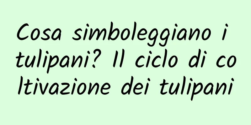 Cosa simboleggiano i tulipani? Il ciclo di coltivazione dei tulipani