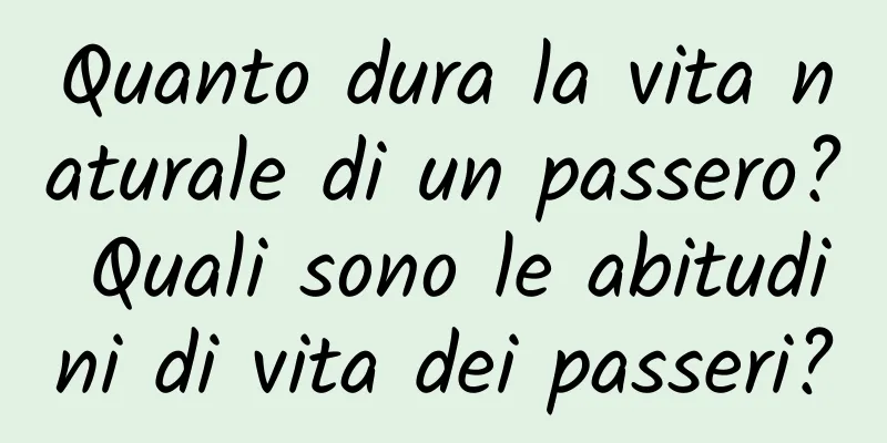 Quanto dura la vita naturale di un passero? Quali sono le abitudini di vita dei passeri?