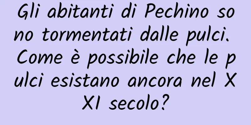 Gli abitanti di Pechino sono tormentati dalle pulci. Come è possibile che le pulci esistano ancora nel XXI secolo?