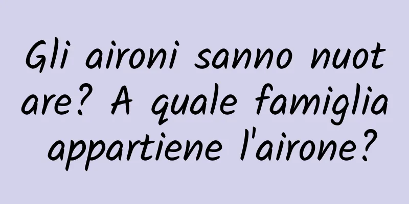 Gli aironi sanno nuotare? A quale famiglia appartiene l'airone?