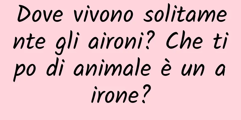 Dove vivono solitamente gli aironi? Che tipo di animale è un airone?