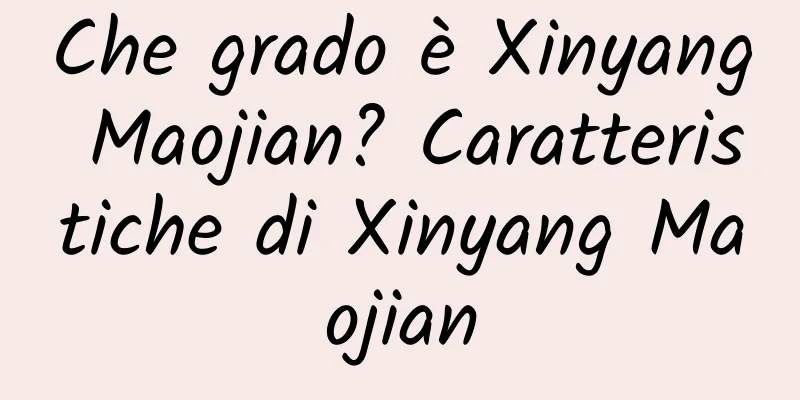 Che grado è Xinyang Maojian? Caratteristiche di Xinyang Maojian