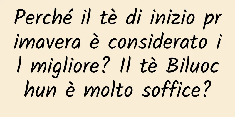 Perché il tè di inizio primavera è considerato il migliore? Il tè Biluochun è molto soffice?