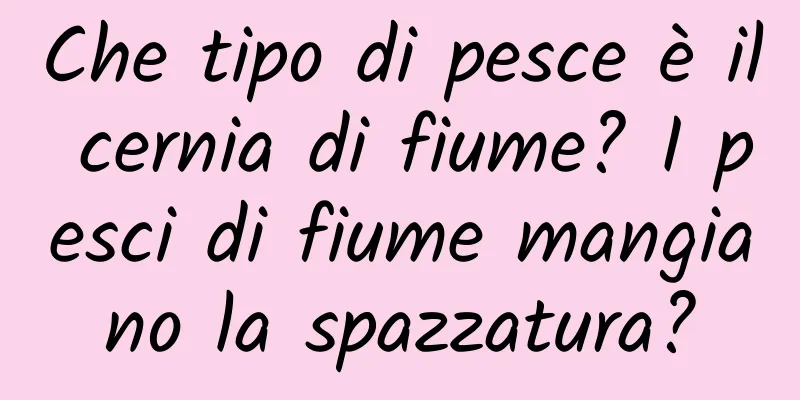 Che tipo di pesce è il cernia di fiume? I pesci di fiume mangiano la spazzatura?