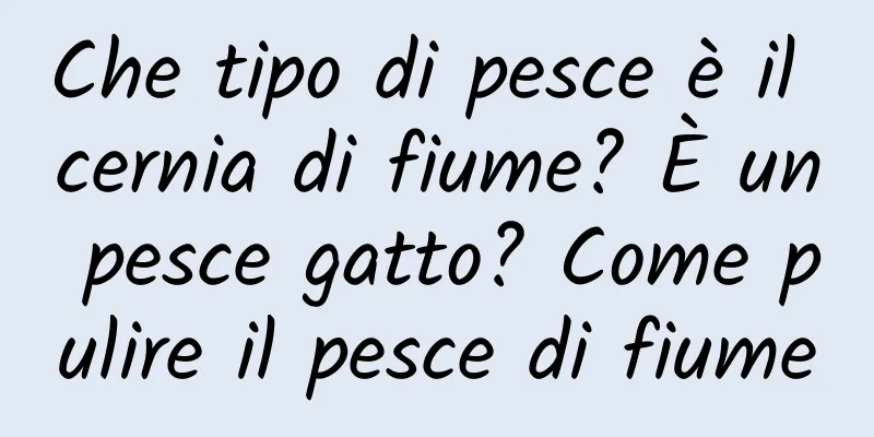 Che tipo di pesce è il cernia di fiume? È un pesce gatto? Come pulire il pesce di fiume
