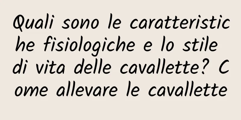 Quali sono le caratteristiche fisiologiche e lo stile di vita delle cavallette? Come allevare le cavallette
