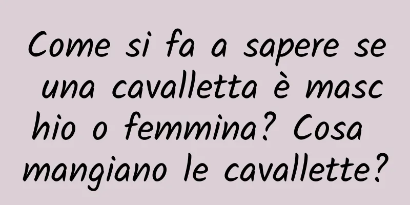 Come si fa a sapere se una cavalletta è maschio o femmina? Cosa mangiano le cavallette?