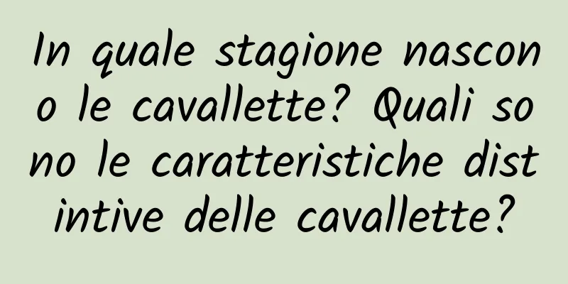 In quale stagione nascono le cavallette? Quali sono le caratteristiche distintive delle cavallette?