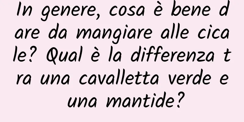 In genere, cosa è bene dare da mangiare alle cicale? Qual è la differenza tra una cavalletta verde e una mantide?