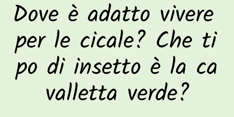 Dove è adatto vivere per le cicale? Che tipo di insetto è la cavalletta verde?