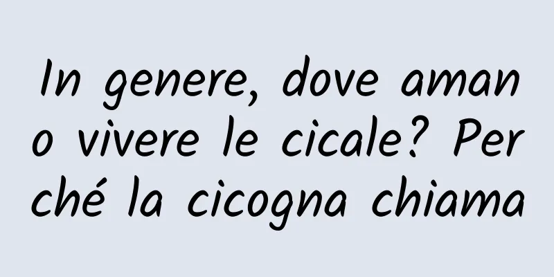In genere, dove amano vivere le cicale? Perché la cicogna chiama