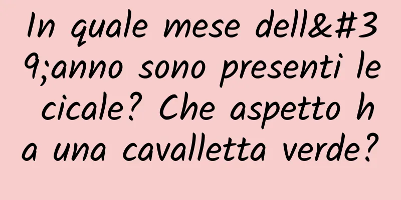 In quale mese dell'anno sono presenti le cicale? Che aspetto ha una cavalletta verde?