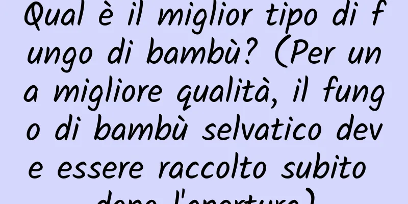 Qual è il miglior tipo di fungo di bambù? (Per una migliore qualità, il fungo di bambù selvatico deve essere raccolto subito dopo l'apertura)