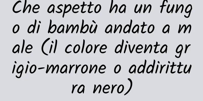 Che aspetto ha un fungo di bambù andato a male (il colore diventa grigio-marrone o addirittura nero)