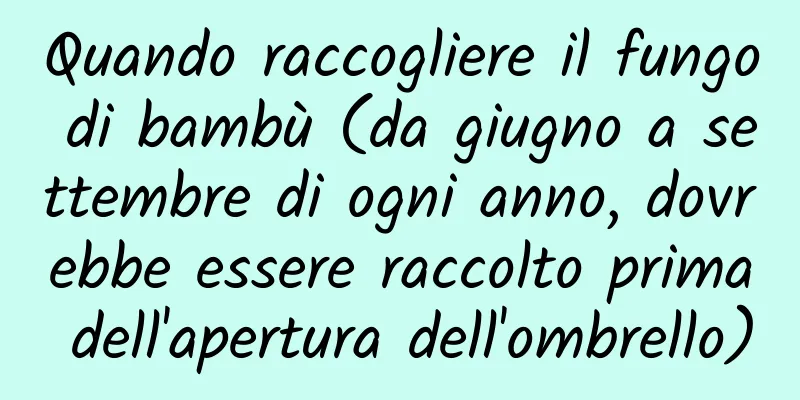 Quando raccogliere il fungo di bambù (da giugno a settembre di ogni anno, dovrebbe essere raccolto prima dell'apertura dell'ombrello)