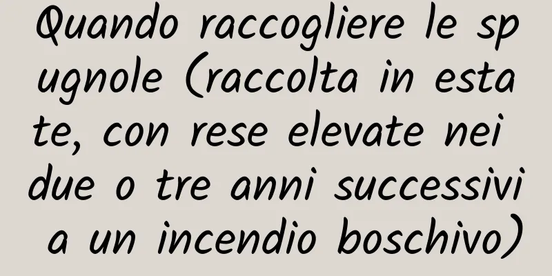 Quando raccogliere le spugnole (raccolta in estate, con rese elevate nei due o tre anni successivi a un incendio boschivo)
