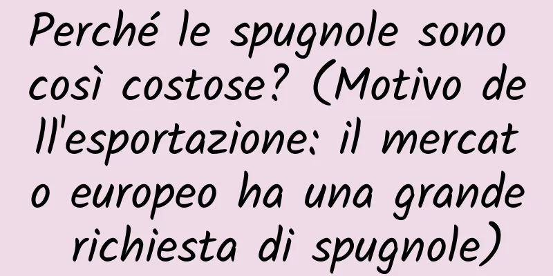 Perché le spugnole sono così costose? (Motivo dell'esportazione: il mercato europeo ha una grande richiesta di spugnole)